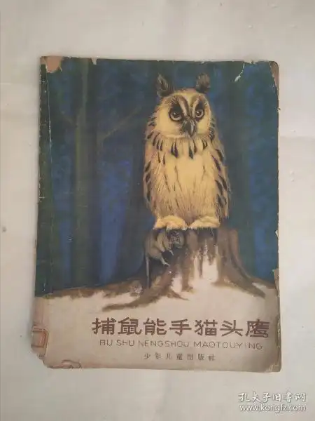  捕鼠能手猫头鹰
