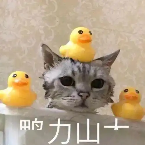  这波回忆杀十年网络流行语大盘点,哪句最戳你