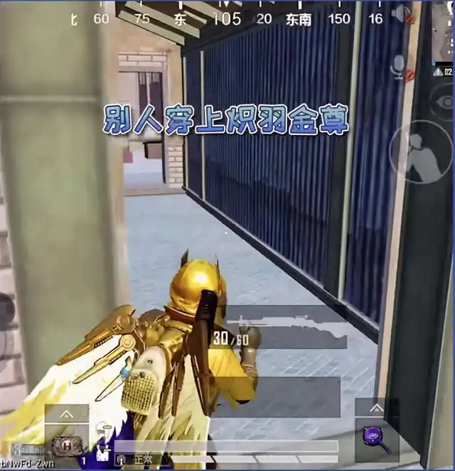  和平精英穿上炽羽金尊就是高玩了王小歪操作引观众哭笑不得