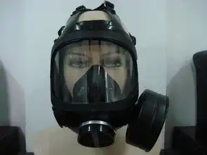  酒泉氨气氟酸性气体防毒面具,农药槽罐液化气泄漏手套
