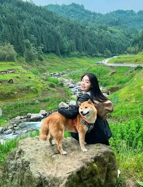  成都出发瀑布古村森林湖泊美到失语22顶级避暑秘境比肩阿勒泰