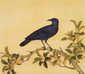  好靓的鸟谱,太漂亮啦
