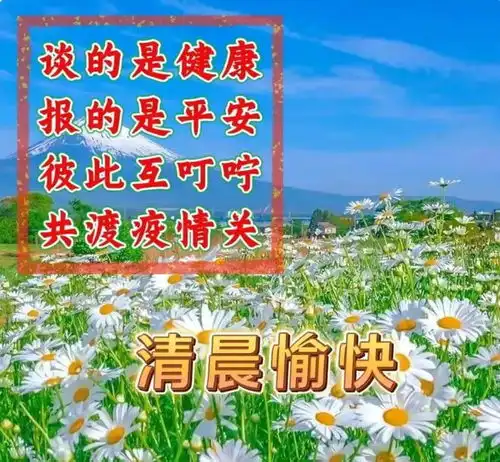  问候语及关心话,珍惜友情最感人的句子