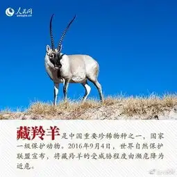  珍稀动物从一点一滴做起
