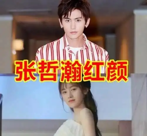  张新成的红颜,华晨宇的红颜,马天宇的红颜,看到丁禹兮我酸了
