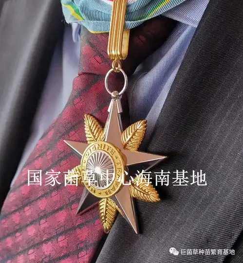  菌草芊芊播五洲下记国家菌草工程技术研究中心首席科学家林占熺