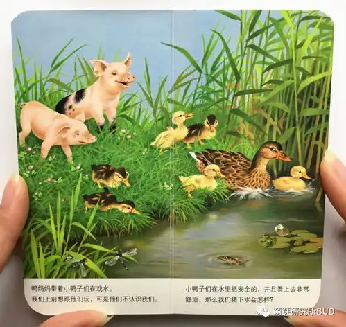  开团这套受德国百万妈妈喜爱的巴掌书,比手机还小,却画出最暖心动人的小故事