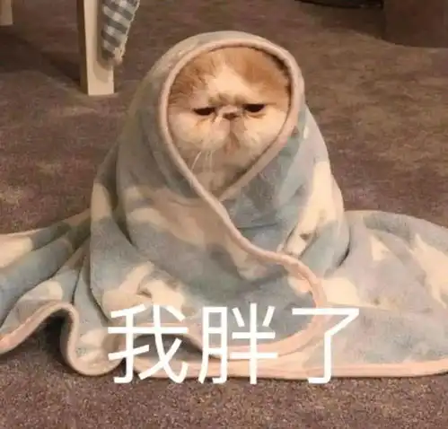  今日头像趁年轻多和有趣的人一起玩耍