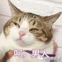  400w粉丝博主出轨女友闺蜜被实锤,大胃王因太能吃被甩,1月渣男出炉