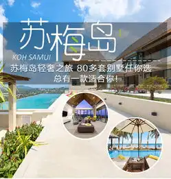 赠金卡省768元苏梅岛6日私人别墅亲子企业定制春节火热预定中免费行程路书新潮网红别墅可住412人80多款任选追逐粉红海豚双体船日落海钓可连线曼谷