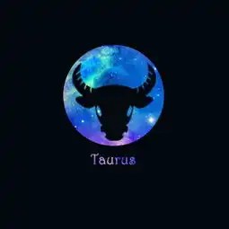  12星座都喜欢什么礼物七夕要到了想好给他她送什么了吗