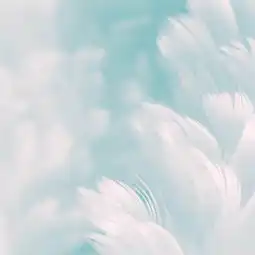  梦幻蓝色轻柔羽毛主图背景背景图片素材免费下载jpg格式800800像素熊猫办公