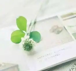  最好的关系,是我懂你的不容易