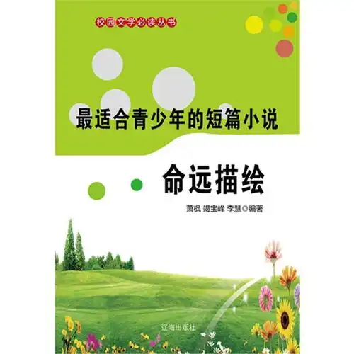  命运描绘最适合青少年的短篇小说书籍