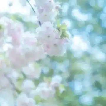  天气明天天气转阴,下周气温继续升最高可升到.....
