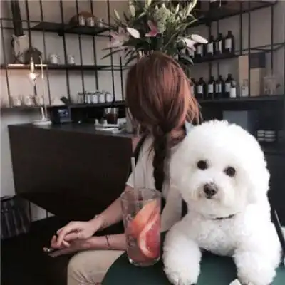 呆萌头像大全可爱宠物