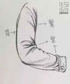  初学者不容错过的速写人物局部解析五官躯干发型等