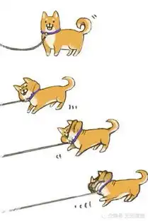  同时带柴犬和哈士奇出门,主人心态崩了,二哈这锅我可不背