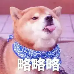 狗子柴犬可爱头像