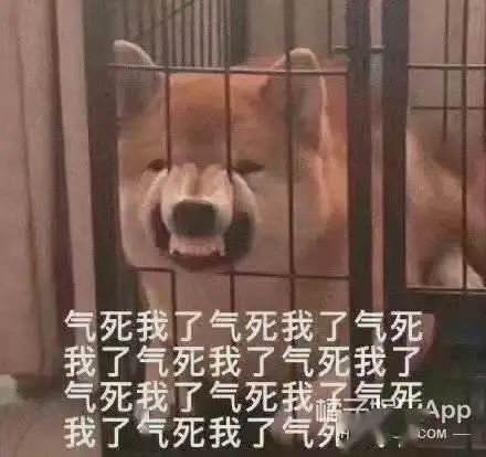 小学生头像仙气哈哈哈