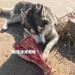 搞笑高清哈士奇头像偷吃