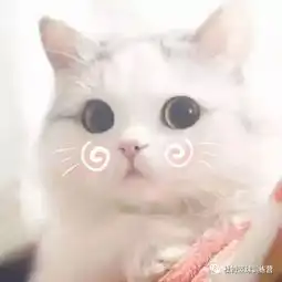  什么打篮球不仅可以强身健体还可以减缓近视度数的增加