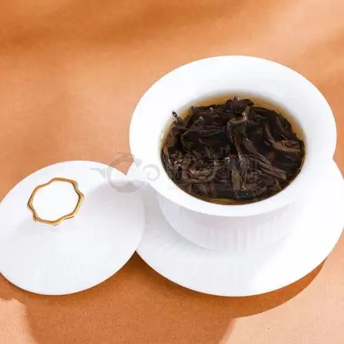 金宝罗头像乌龙茶