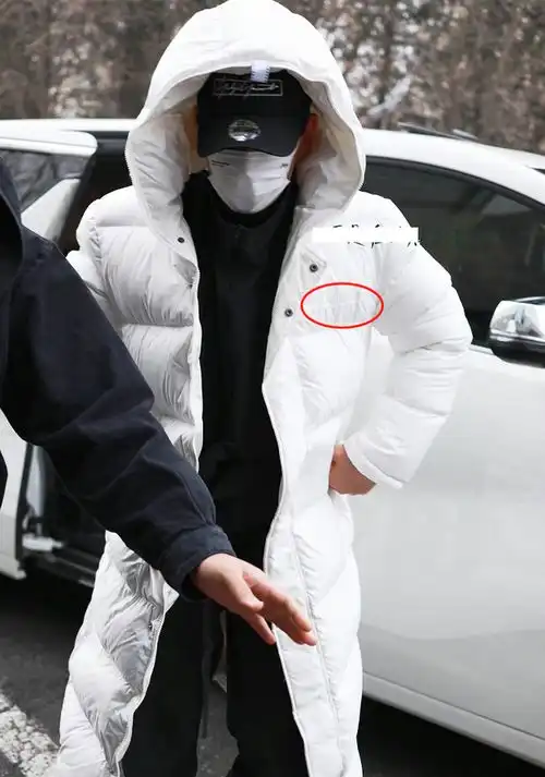  明星春晚私服太抢眼宋茜万元大衣似炸鸡,赵丽颖千元外套被吐槽