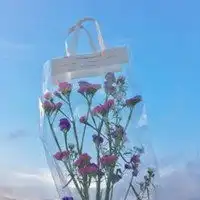  微信头像图片大全清新风景花草微信头像图片大全