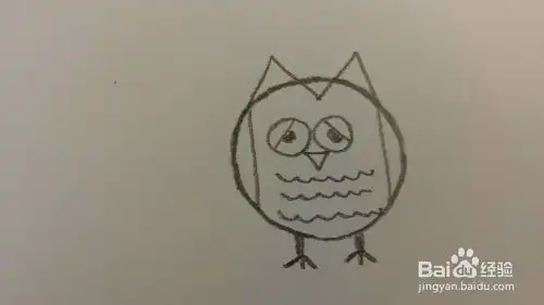  一分钟简笔画跟我一起画猫头鹰