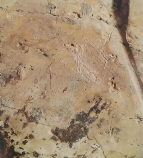  古玉学步104出土附着有特征泥巴不尽为生坑