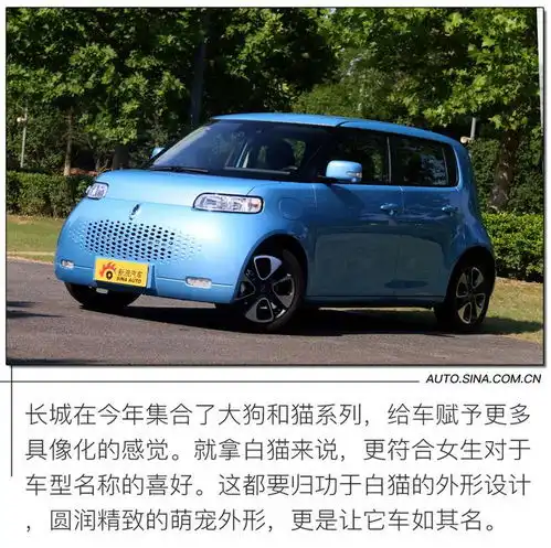  新晋萌宠代步神器续航401km试驾欧拉白猫