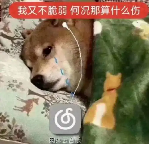  熬夜挖edu.src看我挖到了个啥