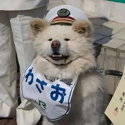 白小姐生肖的头像沙雕