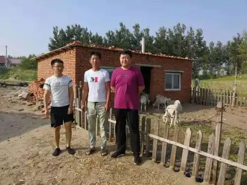  臣心一片磁针石不指脱贫不肯休