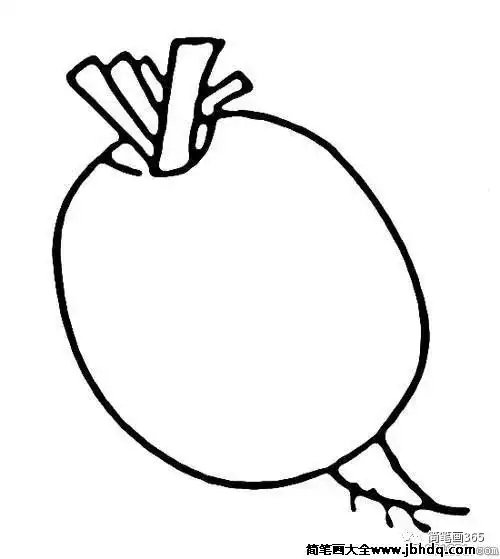  线条边框简笔画图片大全简笔画蔬菜儿童简笔画大全