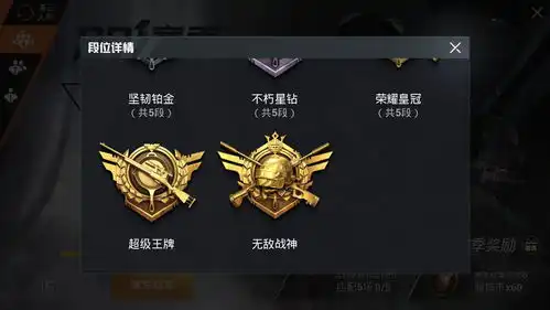 和平精英战神段位截图