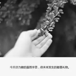  你其实没那么重要,只是偶尔被需要