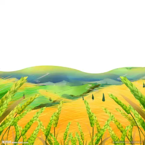  卡通装饰插画麦子田野元素图片