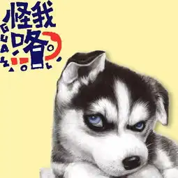  这下搞大了主人要哭了一金毛挣脱牵引绳,撞向兰博基尼