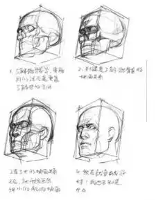 速写人物头像素材人体结