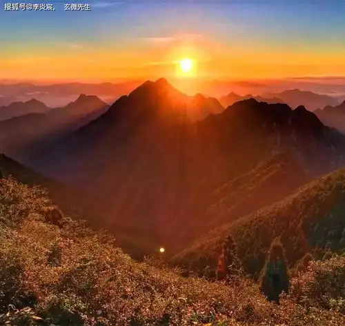  防止名利的伤害,只有一个方法,培养智慧的观照