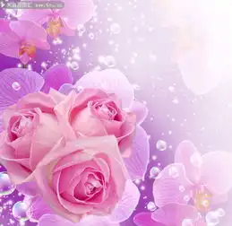 唯美花朵高清图片下载