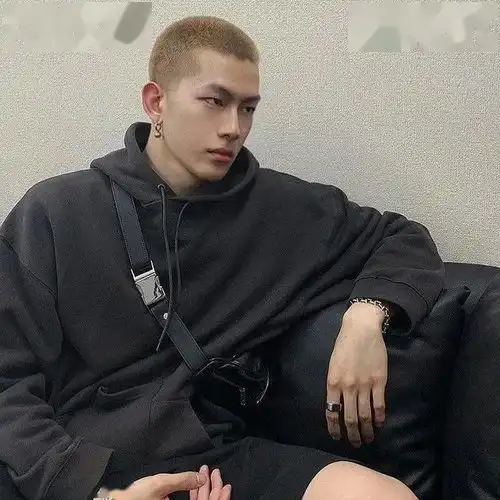 小众但是很高级头像troy