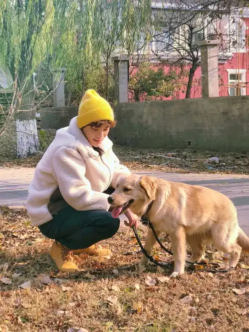  丁禹兮头像壁纸