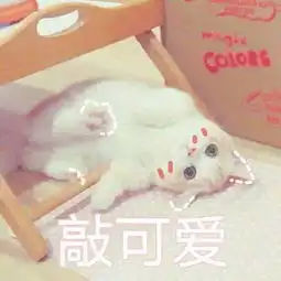  这些小学生的题目,99的人不会