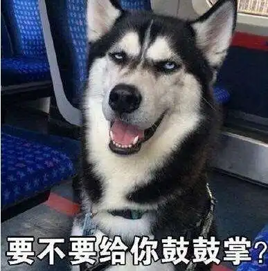 网友出门扔垃圾忘关二哈,转眼就溜了,再见它时直呼手下留情
