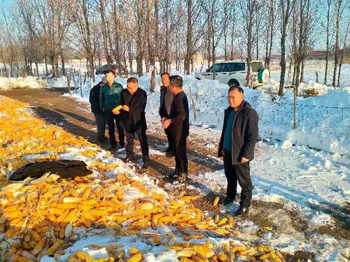  人民银行通辽市中心支行多项举措积极应对暴雪灾后影响聚焦