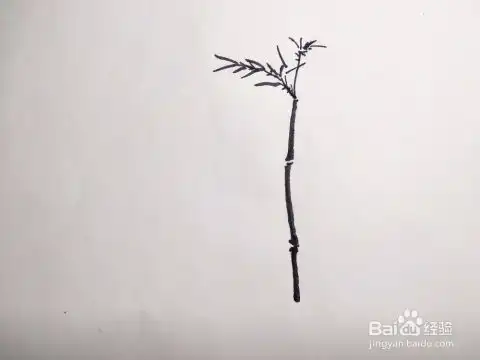  竹子怎么用速写画法画出来如何画竹子简笔画