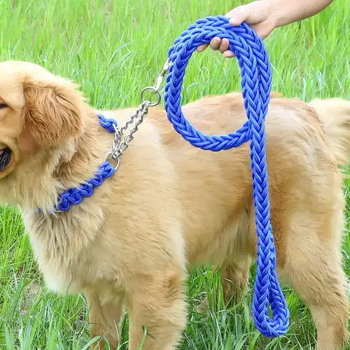  狗绳狗狗用品牵引绳狗链子小型犬中型大型犬金毛泰迪狗绳子遛狗绳